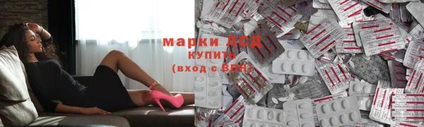 индика Баксан