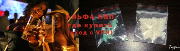 PSILOCYBIN Балахна