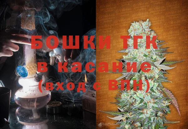 PSILOCYBIN Балахна