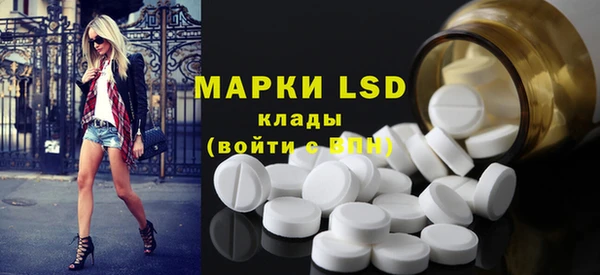 индика Баксан