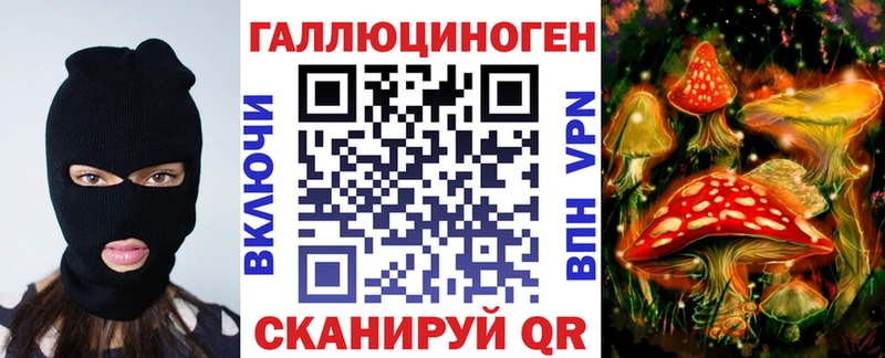 Галлюциногенные грибы Psilocybine cubensis Торжок